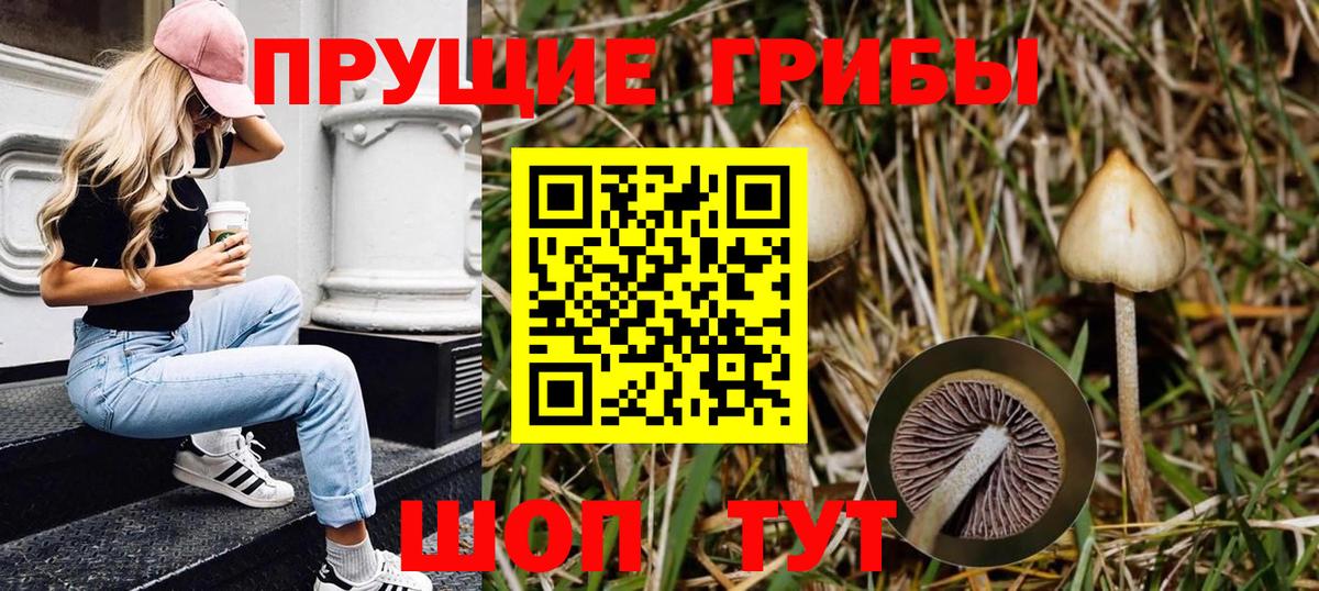 Псилоцибиновые грибы мухоморы Дивногорск